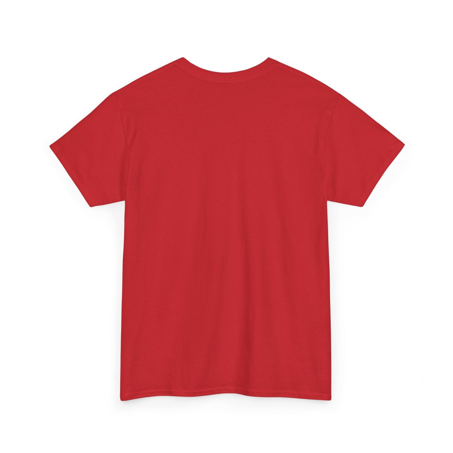 Never Scared Unisex Heavy Cotton Tee