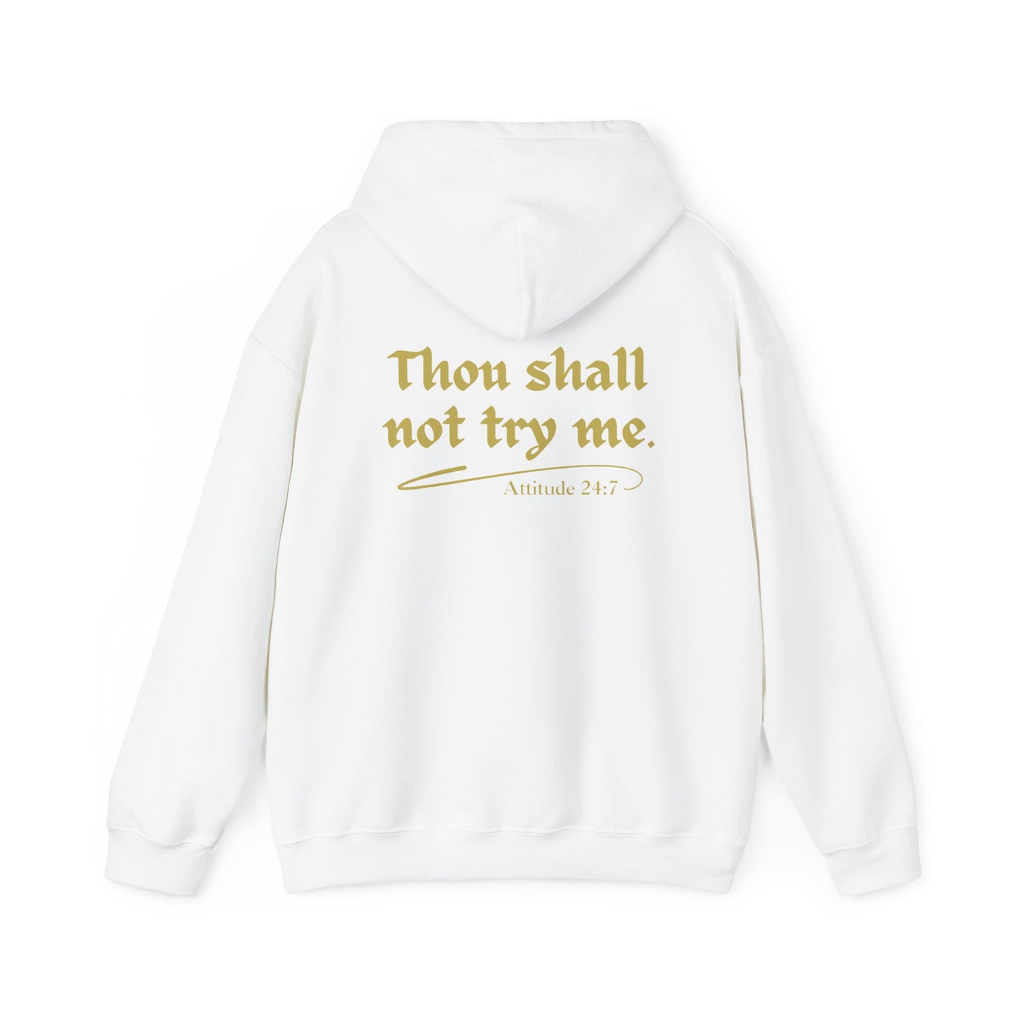 Thou Shall Not Unisex Heavy Blend™ Hooded Sweatshirt