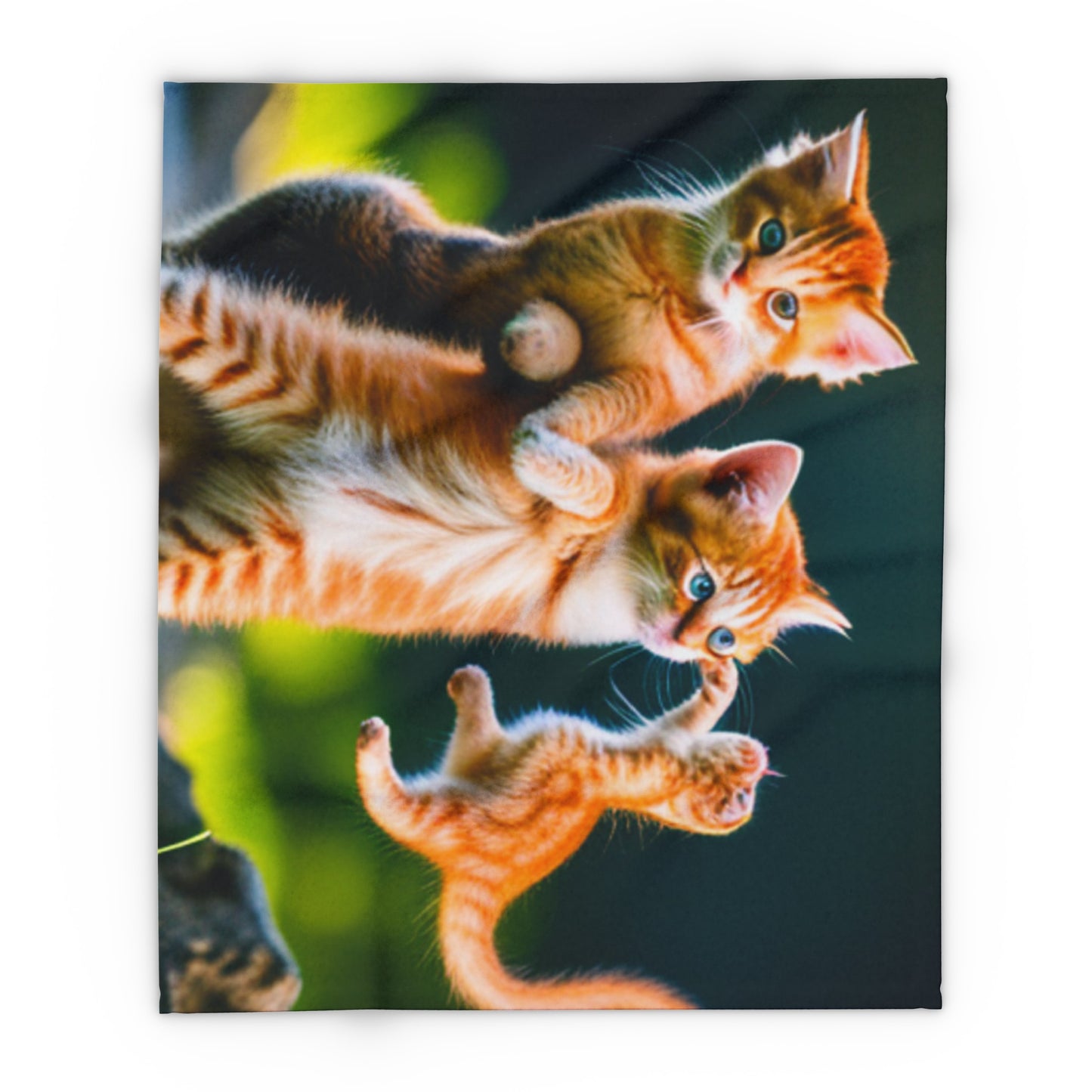 Playful Kittens Arctic Fleece Blanket