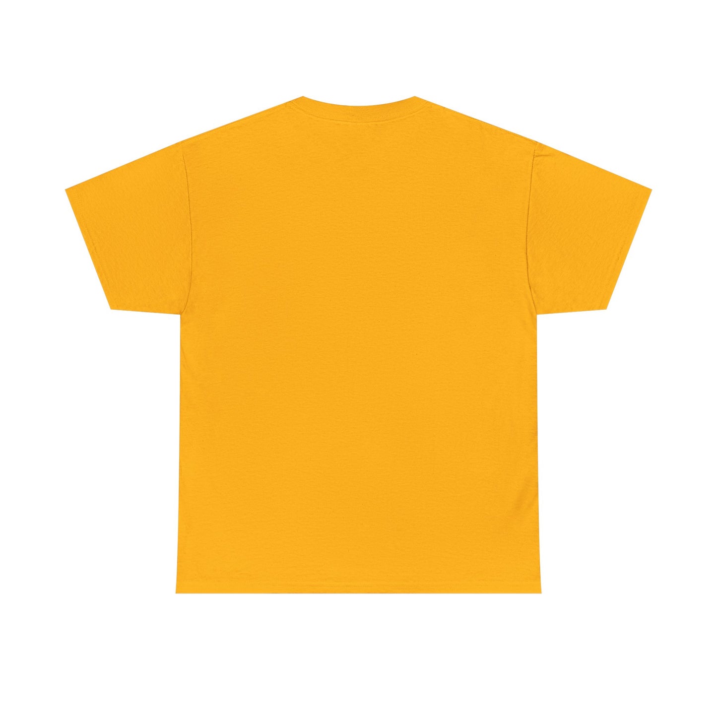 Never Scared Unisex Heavy Cotton Tee