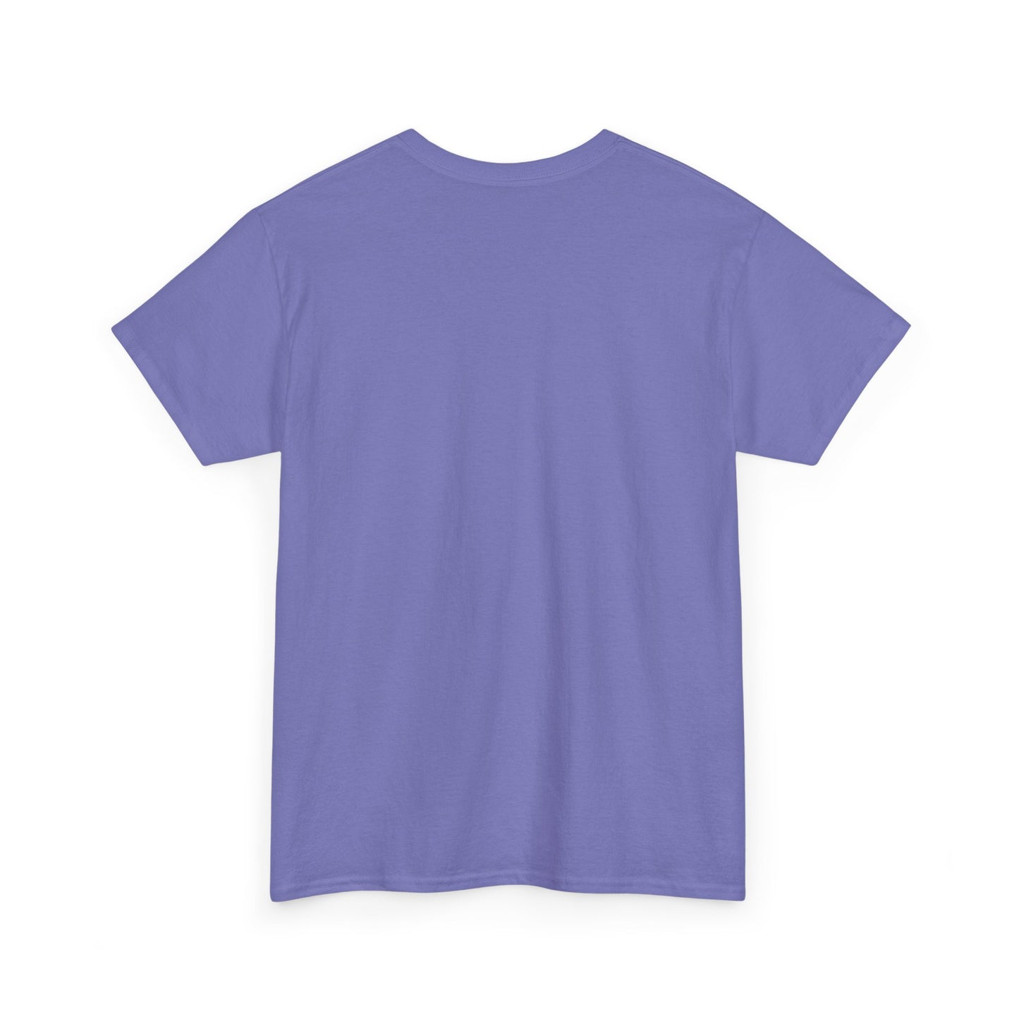 Never Scared Unisex Heavy Cotton Tee